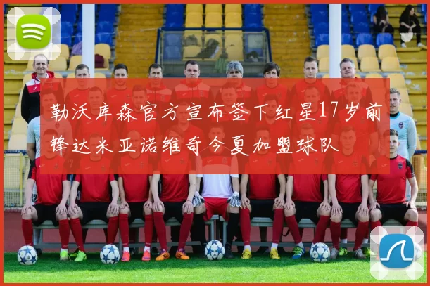 勒沃库森官方宣布签下红星17岁前锋达米亚诺维奇今夏加盟球队